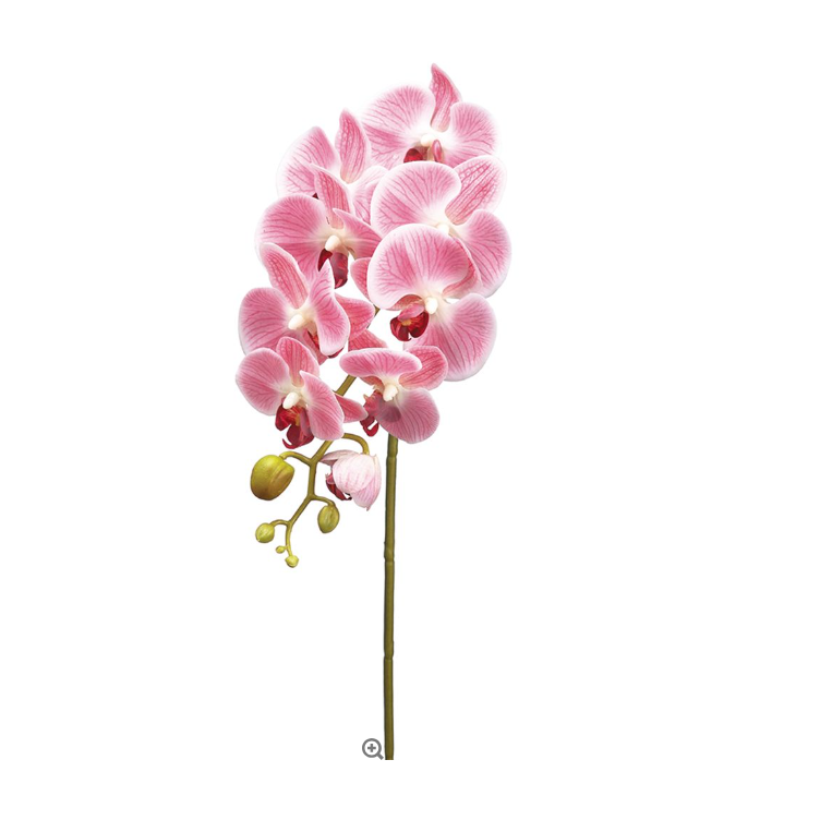 Tallo de orquidea lavanda de 30″