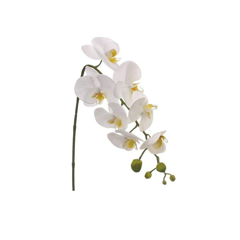 Tallo de orquidea blanca de 28.5″