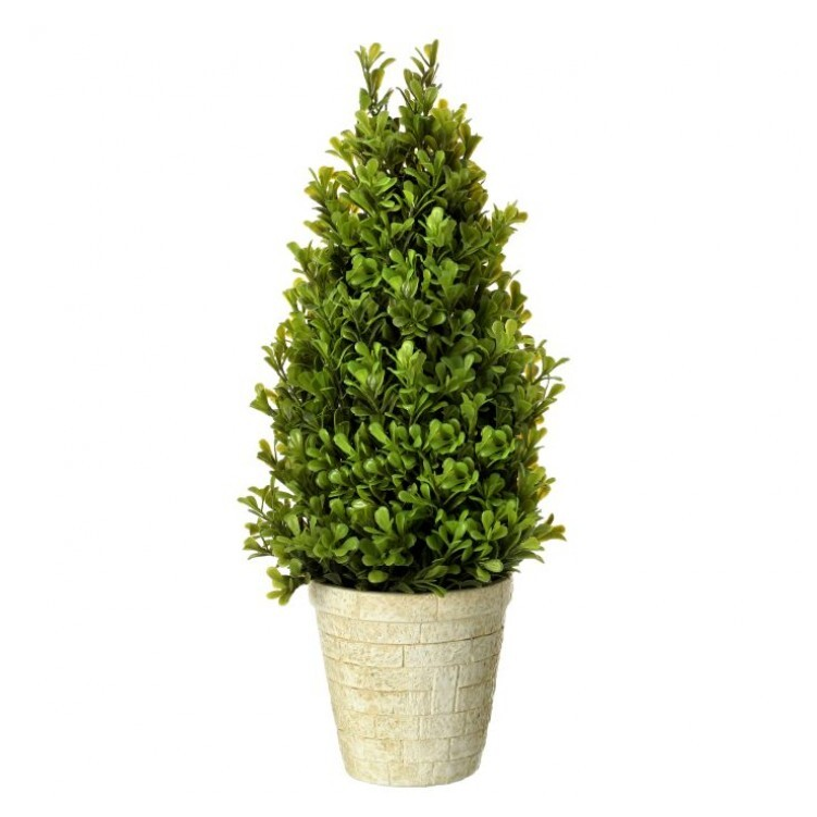 Arbusto Topiary en maceta