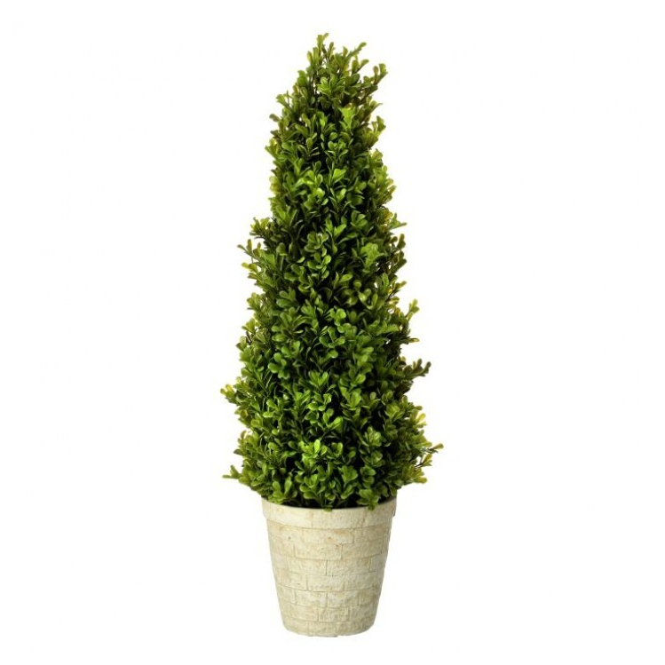 Arbusto Topiary en maceta 24″