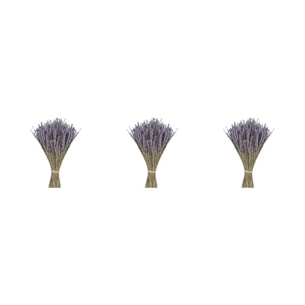 Paquete de  lavanda 9.5″