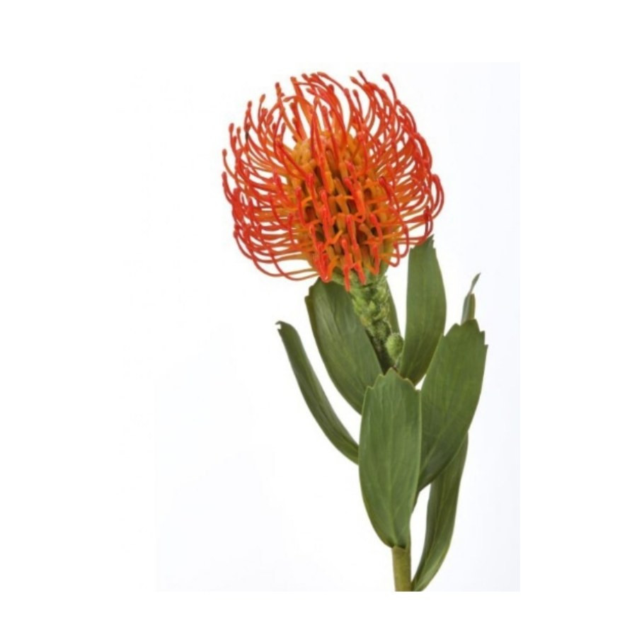 Flor de Alfiler