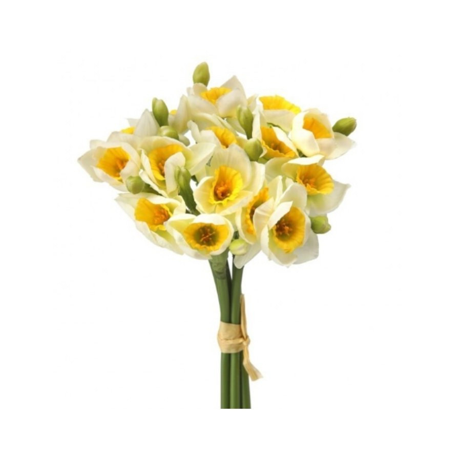 Ramo de Narcisos