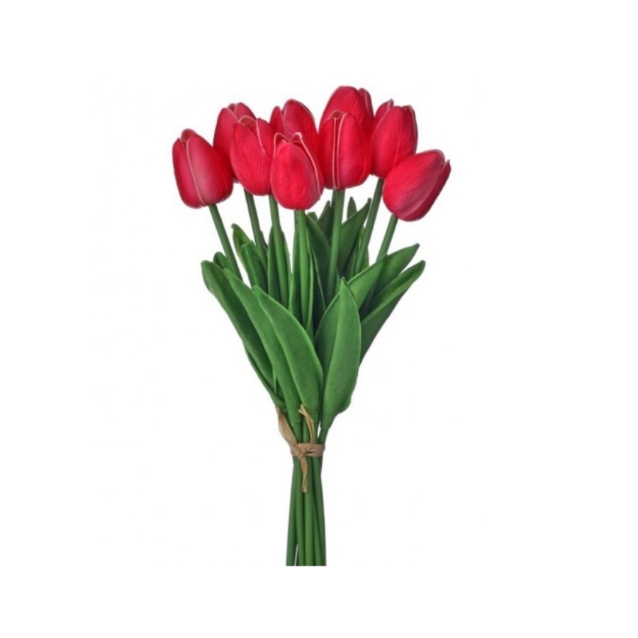 Ramo de Tulipanes