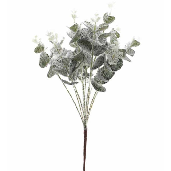 Ramo de Eucalipto Nevado