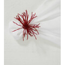 Aro para servilletas tassel rojo