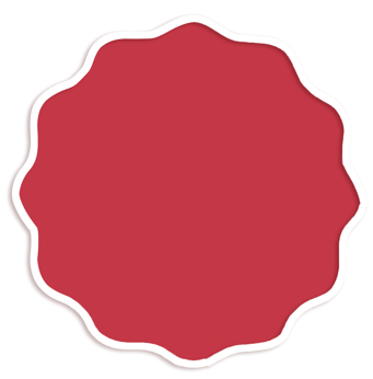 Set de 4 Individual Coral