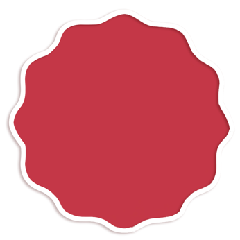 Set de 4 Individual Coral