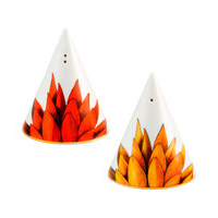 Conjunto salero y pimentero de porcelana amazonia