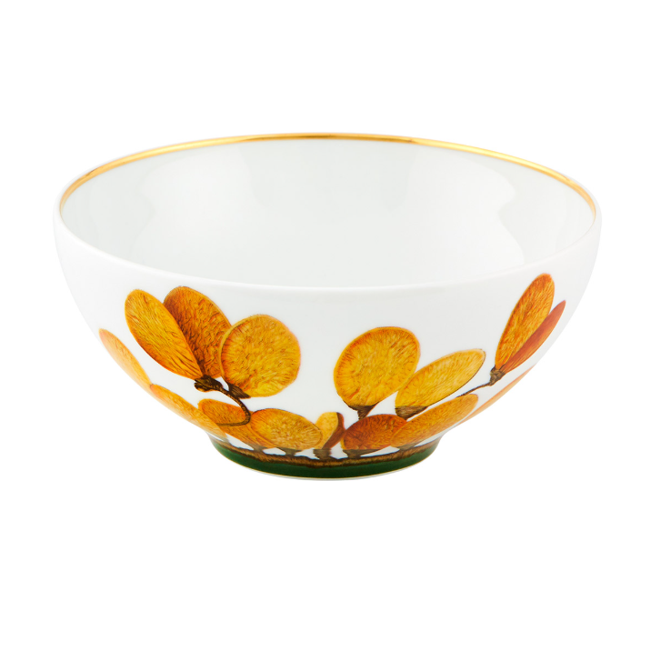 Bowl de Cereal, Amazonia