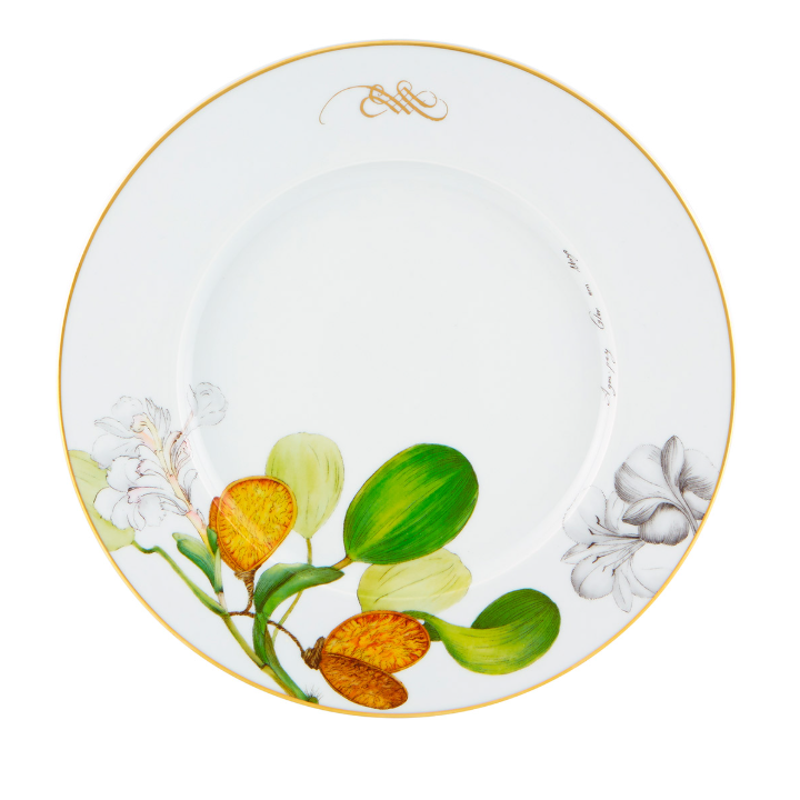 Plato Principal Amazonia