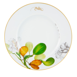Plato Principal Amazonia