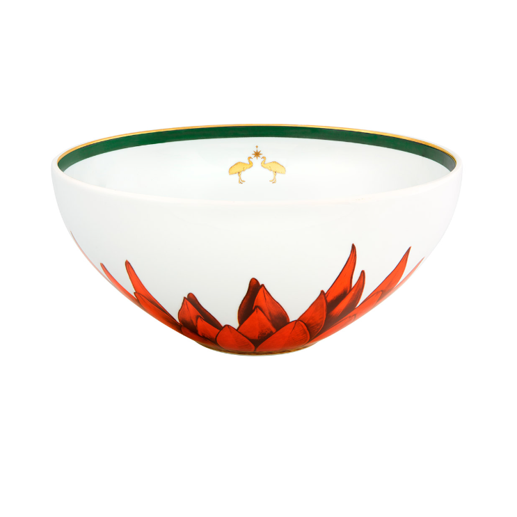 Ensaladero Grande de Porcelana, Amazonia