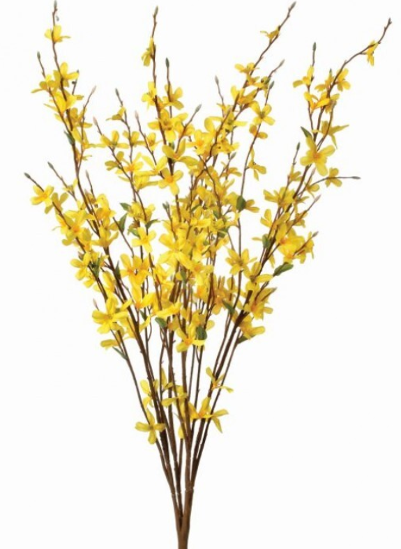 Rama de Arbusto Color Amarillo