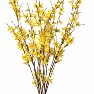 Rama de Arbusto Color Amarillo