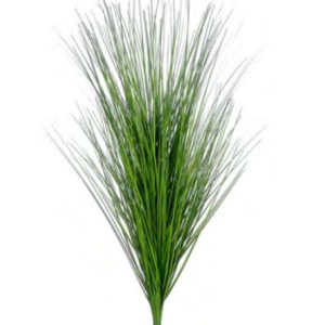 Rama de Hierba Verde