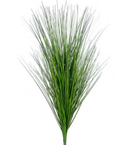 Rama de Hierba Verde