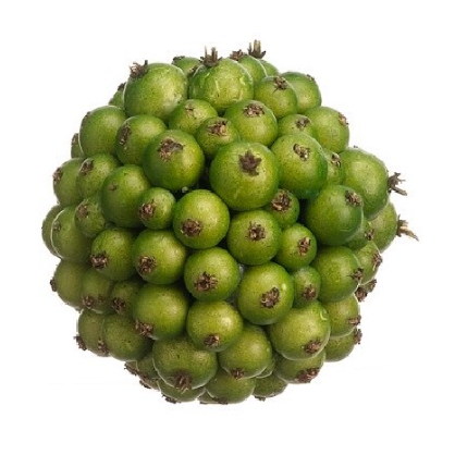 Pelota de bayas color verde 3″