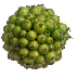 Pelota de bayas color verde 3″