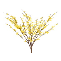 Rama de Arbusto Color Amarillo