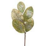 Hoja de hielo magnolia de 19"
