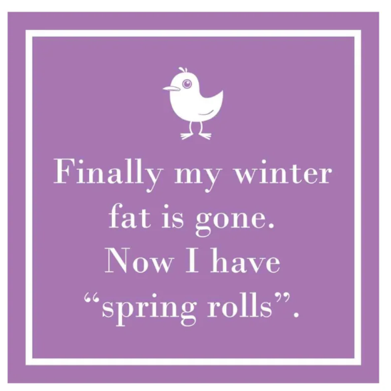 Servilletas de Papel, Finally My Winter Fat Is Gone Servilletas de Papel, Finally My Winter Fat Is Gone