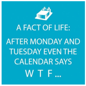 Servilletas de Papel, A Fact of Life 20 unidades