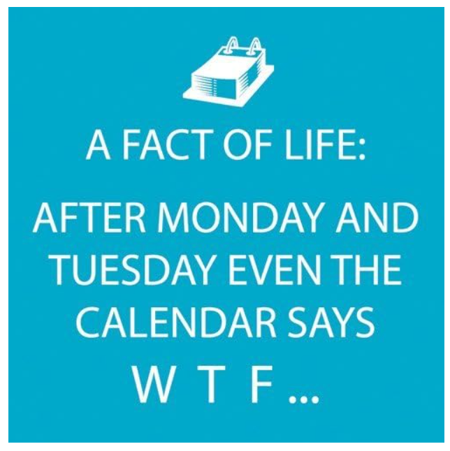 Servilletas de Papel, A Fact of Life 20 unidades