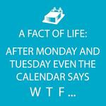 Servilletas de papel de 5 x 5″ color celeste a fact of life
