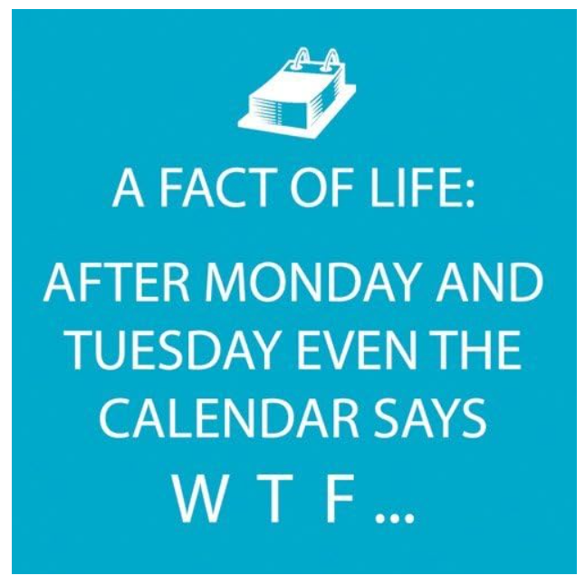 Servilletas de Papel, A Fact of Life 20 unidades