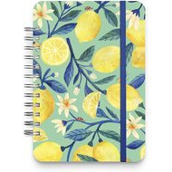 Agenda semanal de planificacion 2021-2022 jardin citrico azul con limones