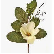 Magnolia berry color blanco con hojas 22''