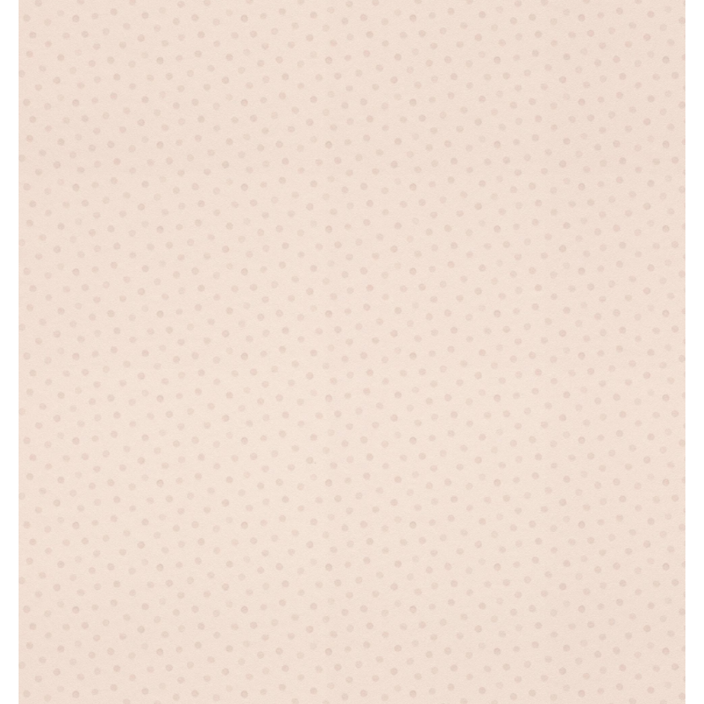 Papel tapiz Rasch Bambino XIX 253047