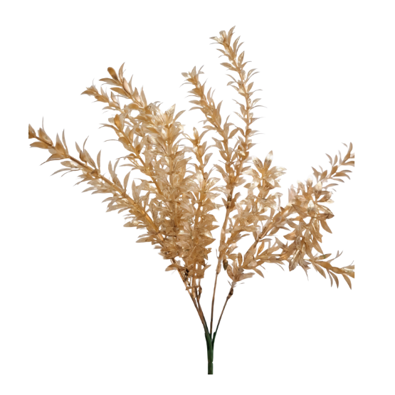 Ruscus Metálico Dorado