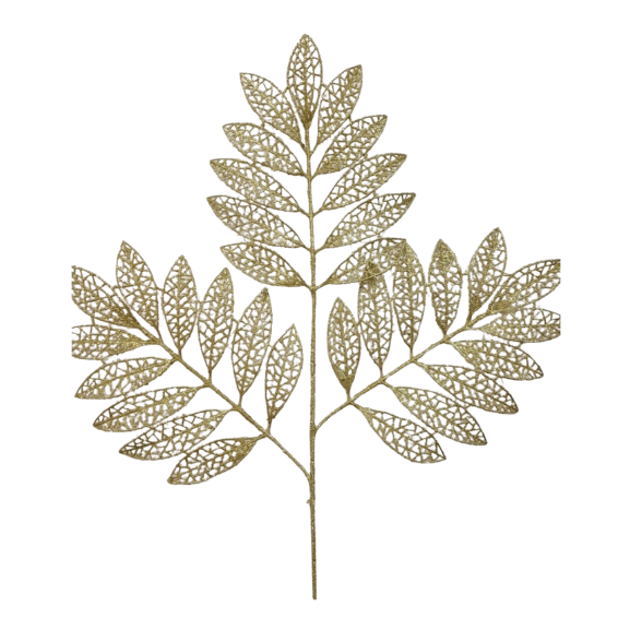 Palma de Hojas Brillosa, Dorada