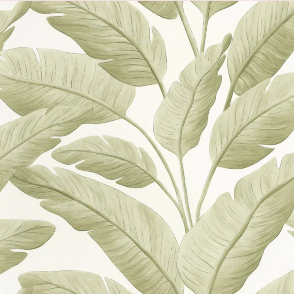 Papel Tapiz Caselio Borneo 106547003