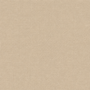 Tela Liszt, Champagne