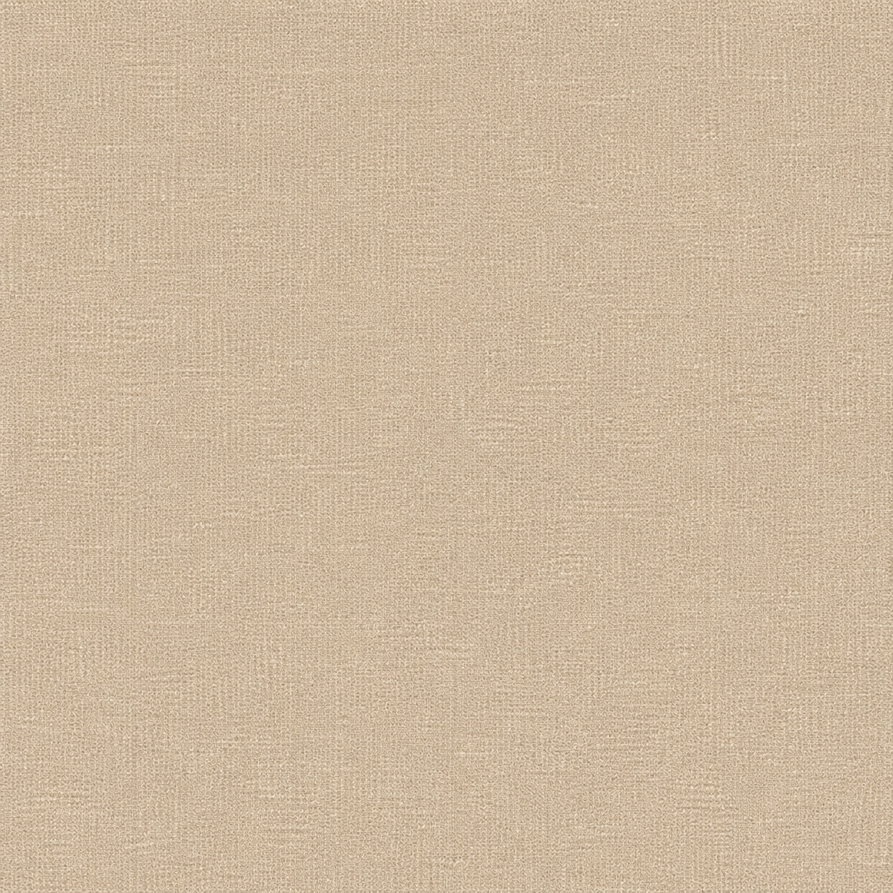 Tela Liszt, Champagne