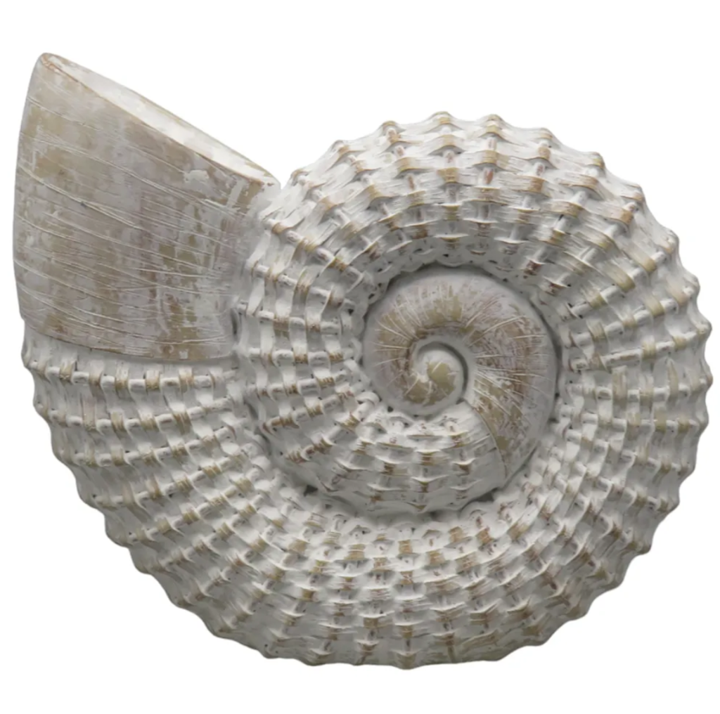 Decoración de Concha Tejida, White