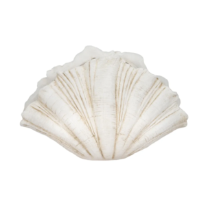 Decoración Concha Scallop, White