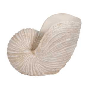 Escultura de Concha, Ivory