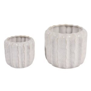 Maceta Pequeña Urchin, Ivory