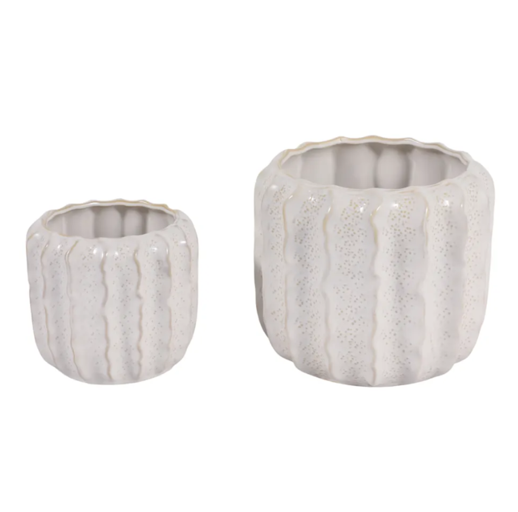 Maceta Pequeña Urchin, Ivory