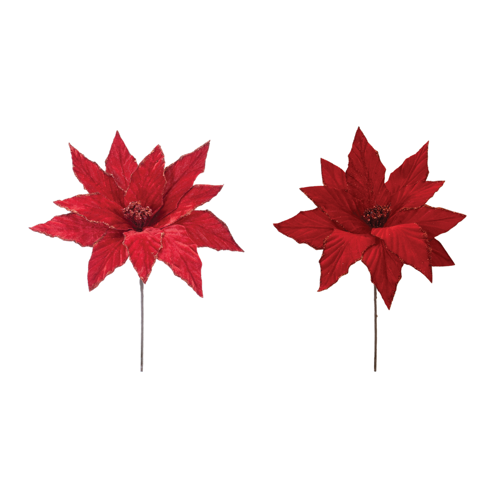 Pick de Flor de Pascua, Surtido de 2, 30 cm
