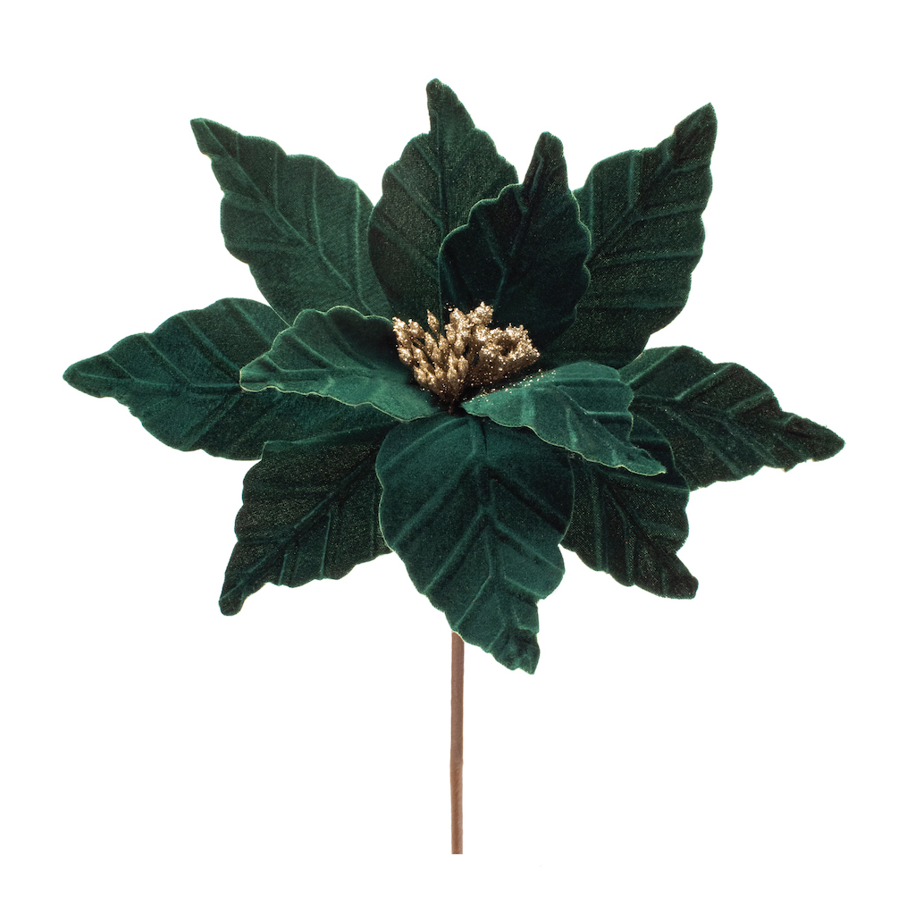 Vara de Flor de Pascua, 53 cm