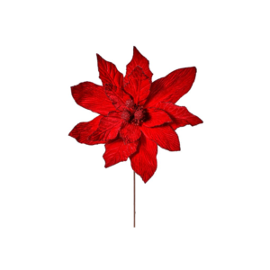 Flor de Pascua de Exhibición, Rojo, 48 x 76 cm