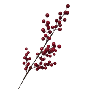 Palma Hoja de Magnolia, Dorado